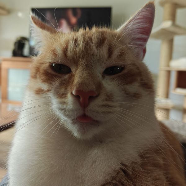 Quinn