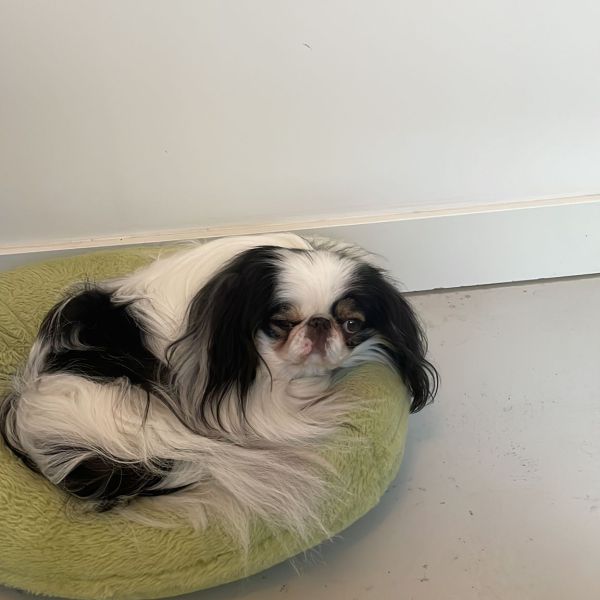 Yuki