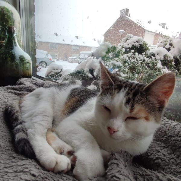 Suzie