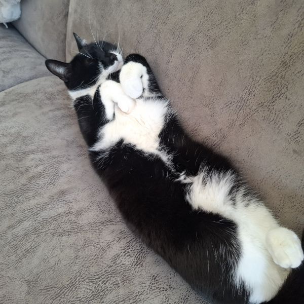 Luna