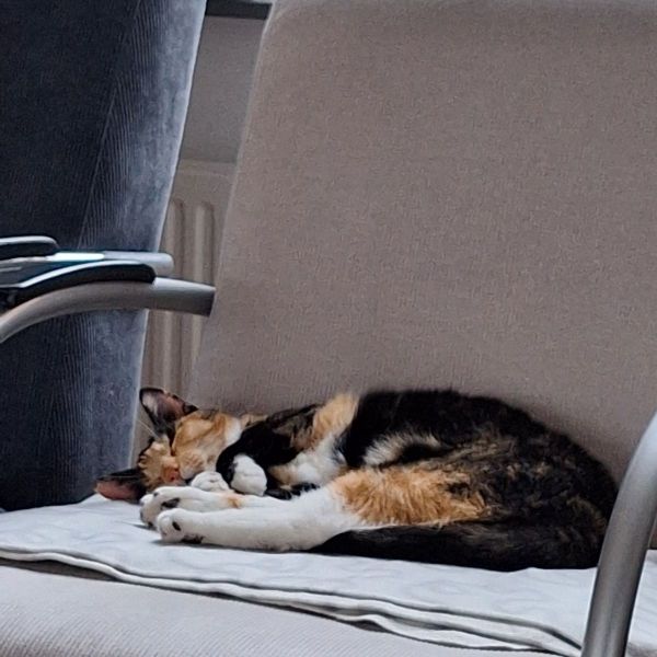 Zoe