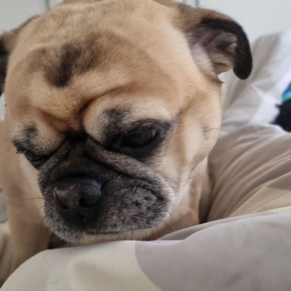 Charlie