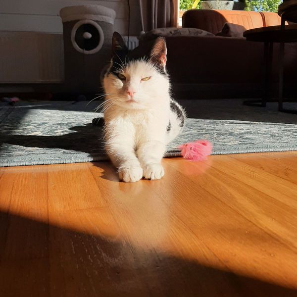 Kiki
