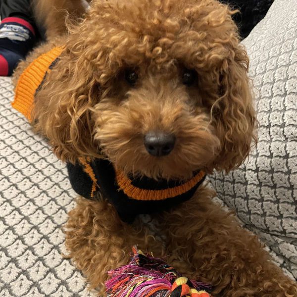 Charlie