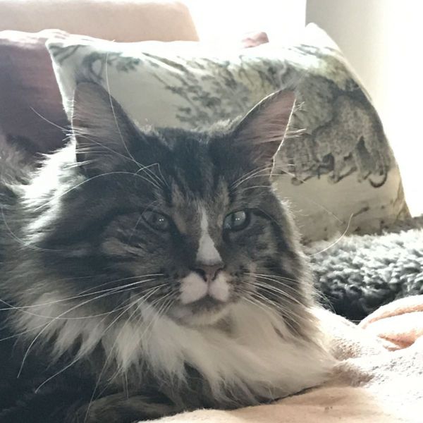 Sam