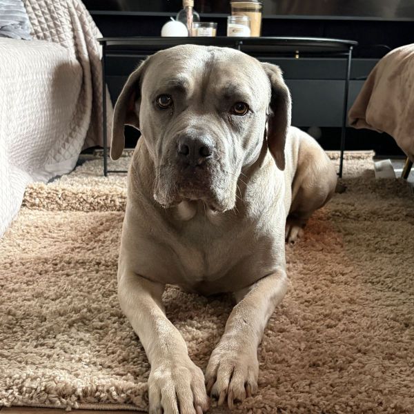 Rosie