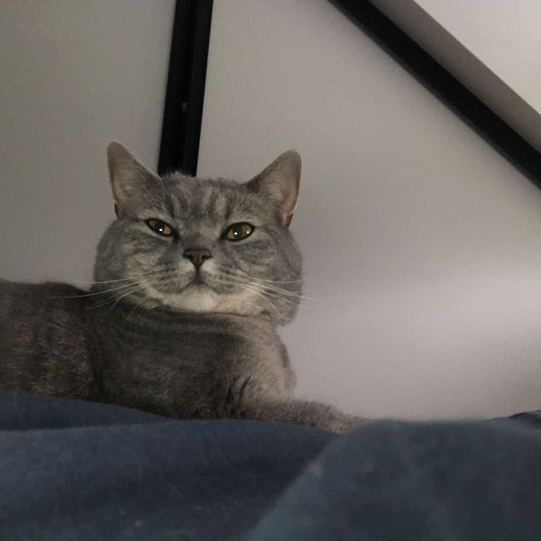 Kiki