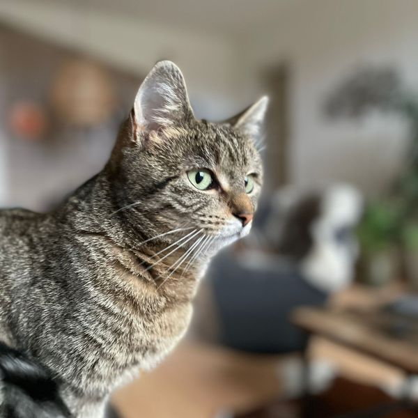 Billy