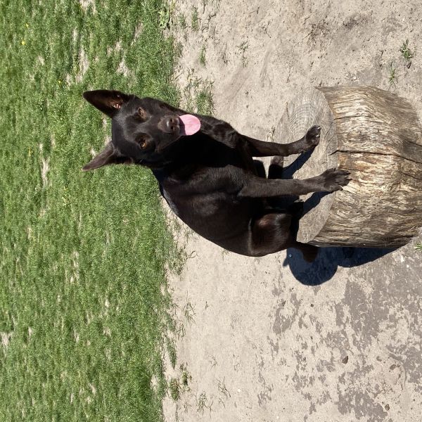 Maggie