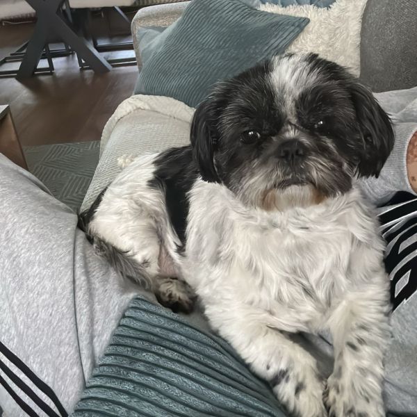Pepper