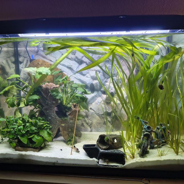 aquarium