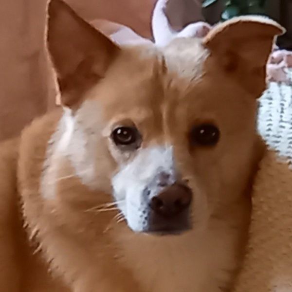 Diego