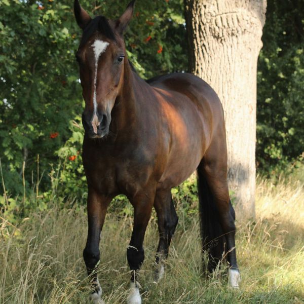 Sonjah + maatje