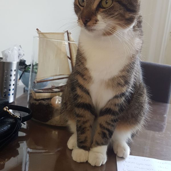 Marley