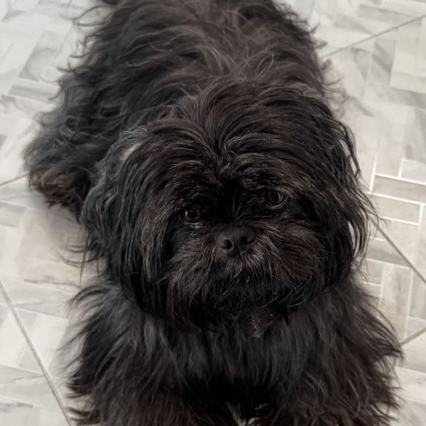 Cooper