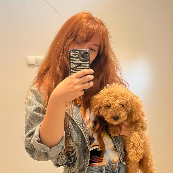 Teddy