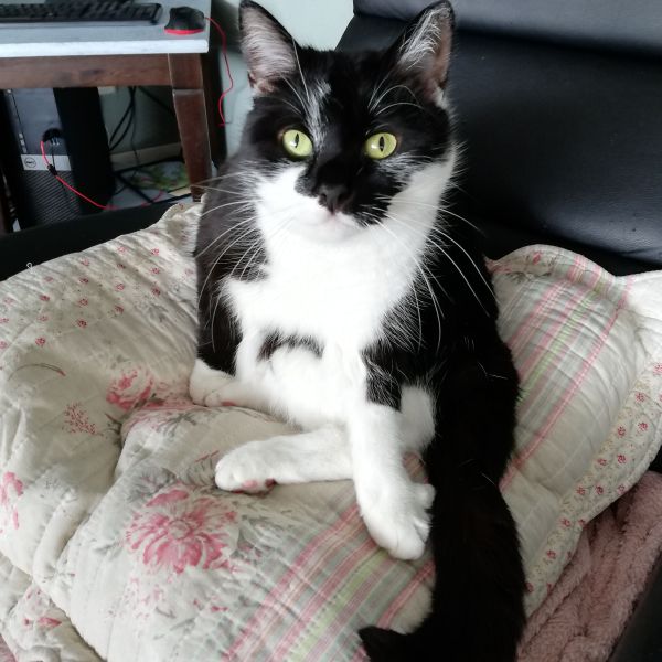 Zoë