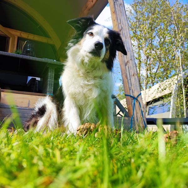Millie