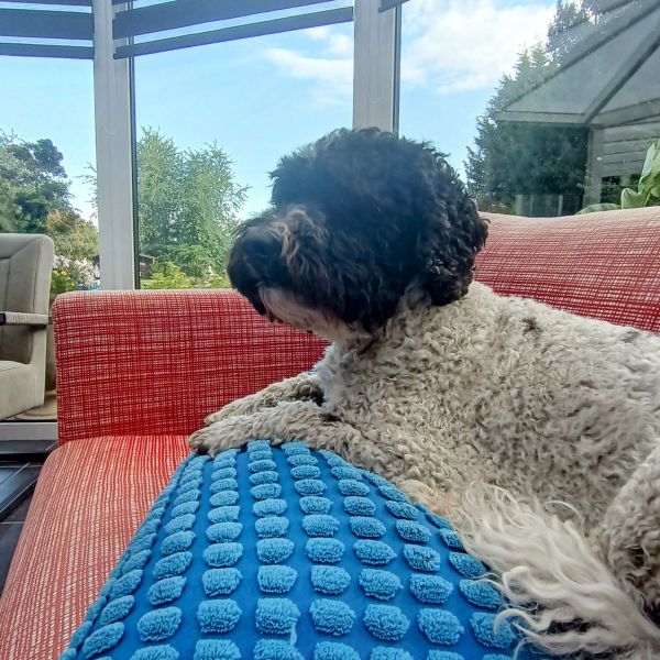 Charlie