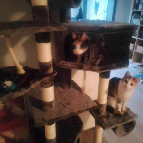 Charlie