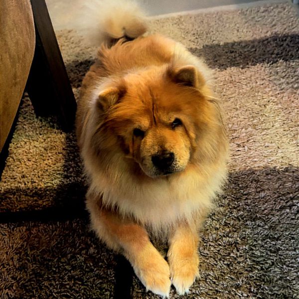 Rusty