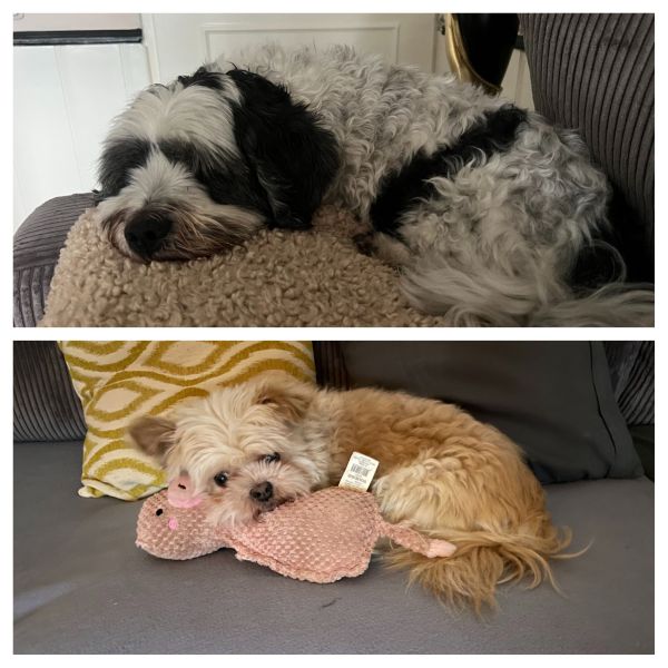 Bengi en pablo