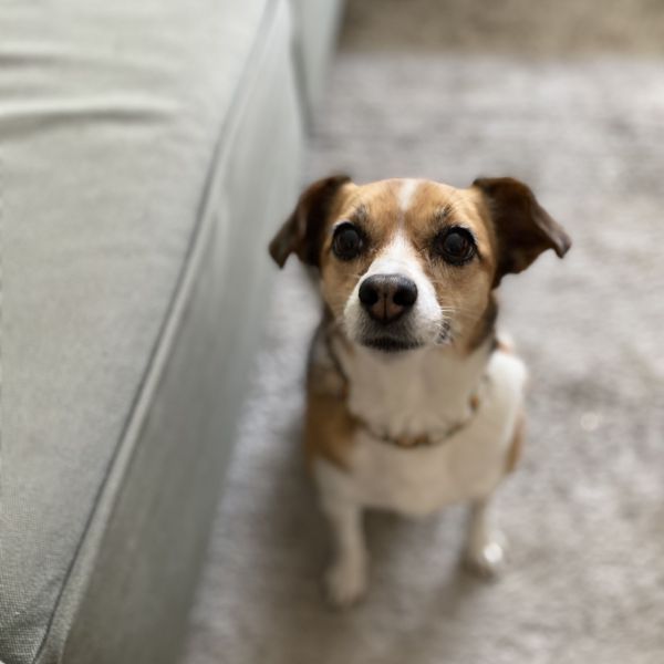 Roxy