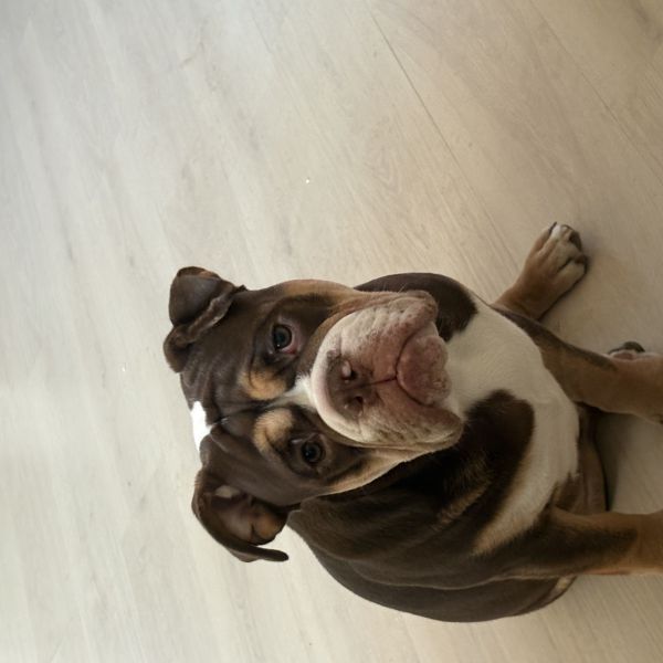 twix