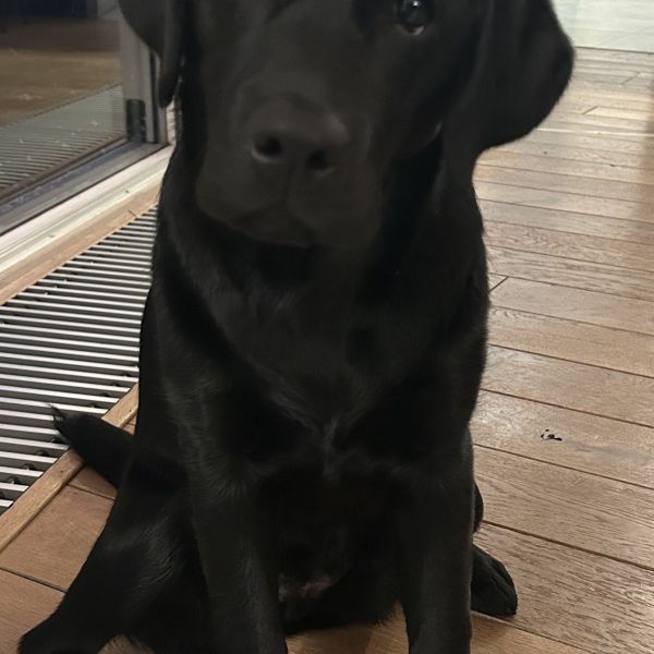 Lola