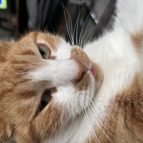 Max