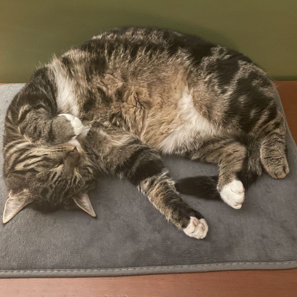 Carlos