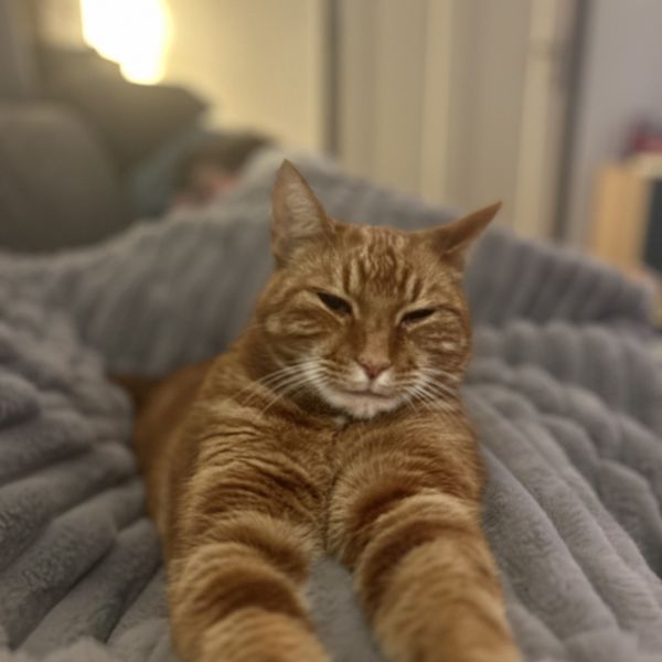 Tom