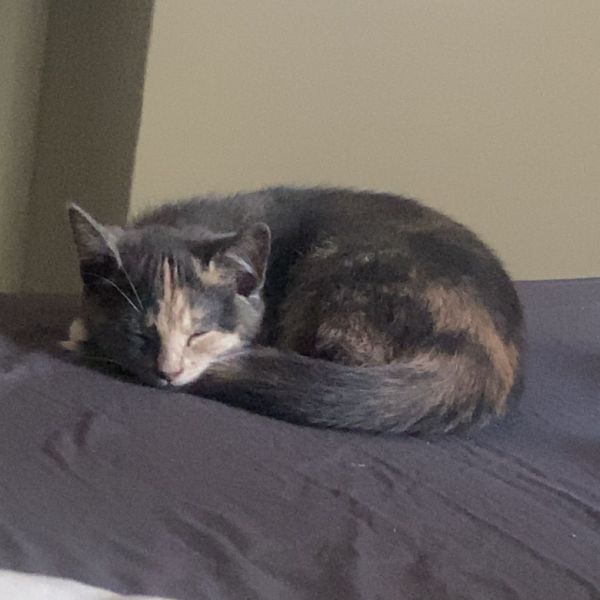 Mila