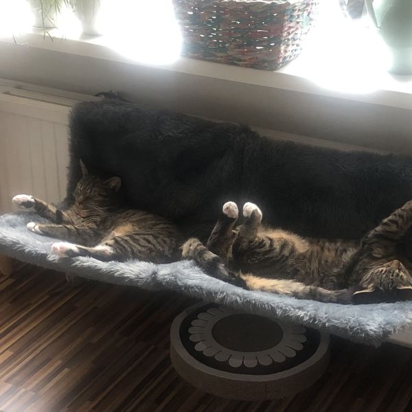 Luna en Lela