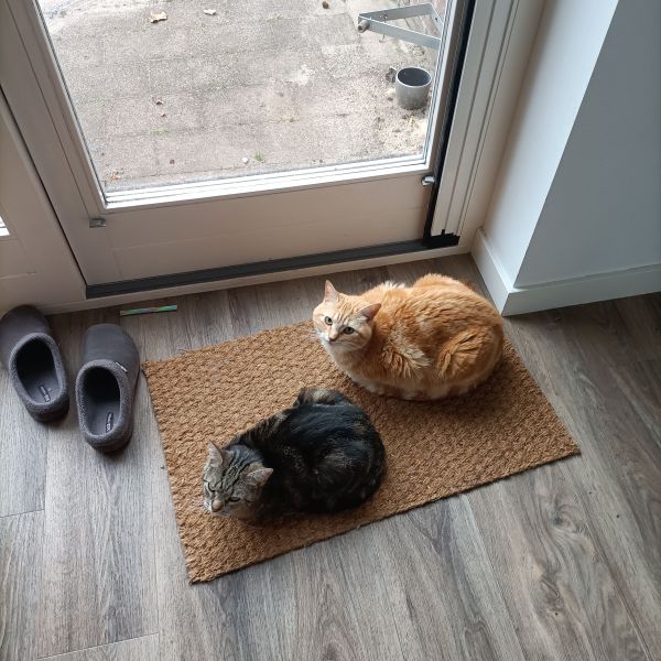 Pablo &amp; Peppie