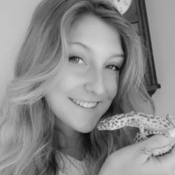 Luipaardgekko's