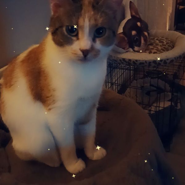 Molly