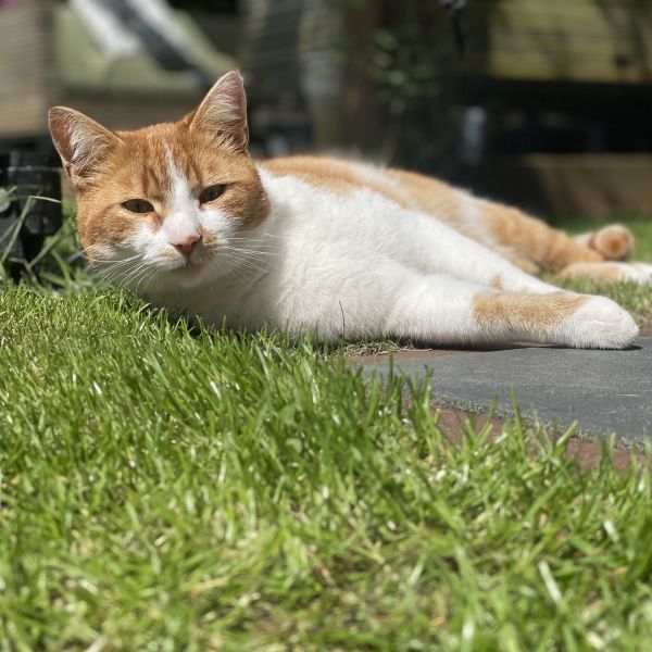 Bobbie