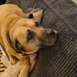 Sabine