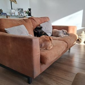 Anita
