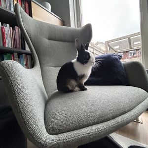 Martijn en marije