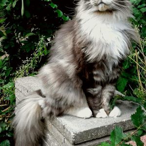 Esther