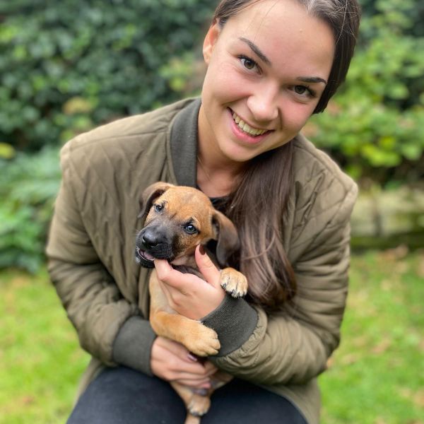 Hondenoppas Tessa uit Haarlem