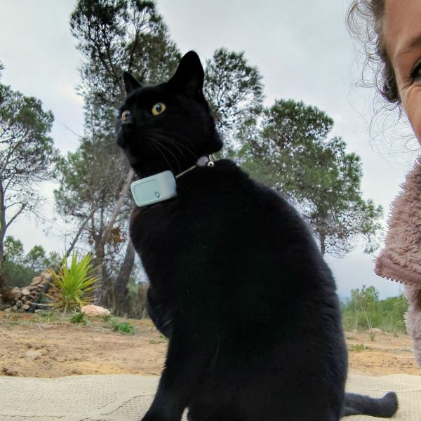 Noor, Noor uit Hulsberg zoekt een Kattenoppas