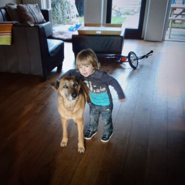 Huisdierenoppas Nick uit Oegstgeest