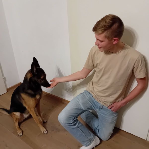 Hondenoppas Kees uit Gouda