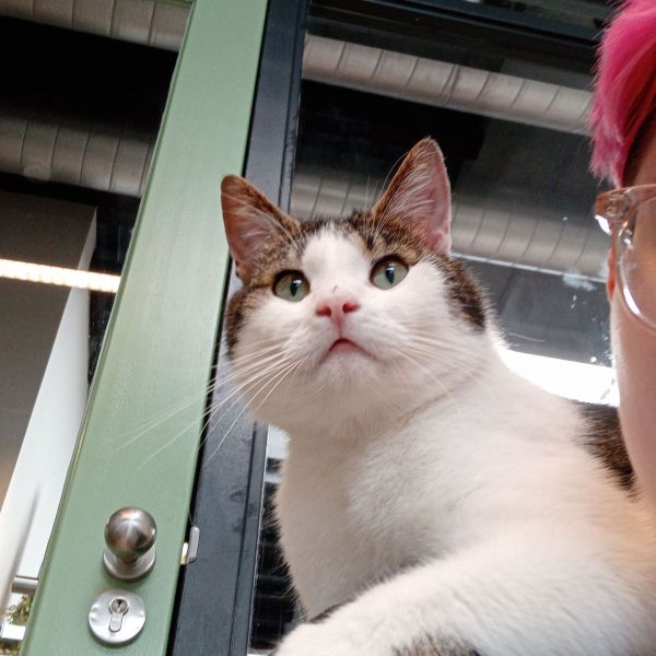 Huisdierenoppas Quinn uit Almere