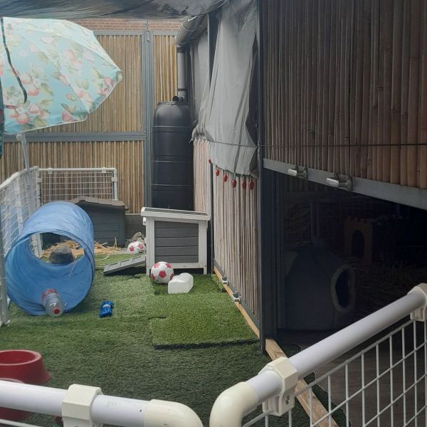 Knaagdierenoppas Angelique uit Maastricht