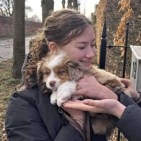 Huisdierenoppas Noor uit Amerongen