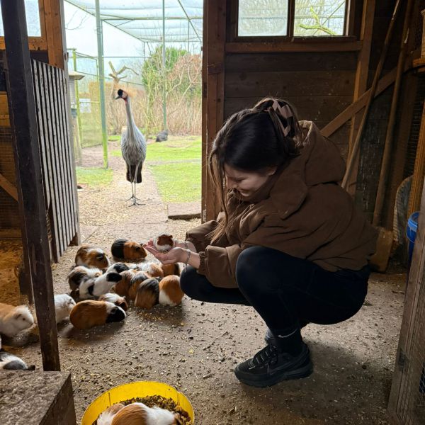 Huisdierenoppas jessie uit Ravenstein